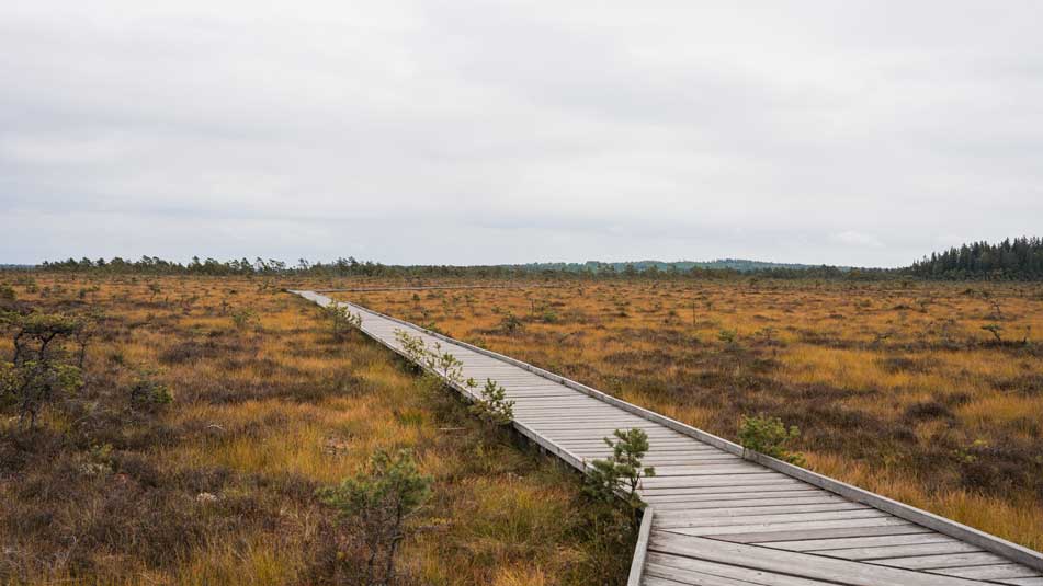 Store Mosse Nationalpark Wanderungen in Småland Schweden
