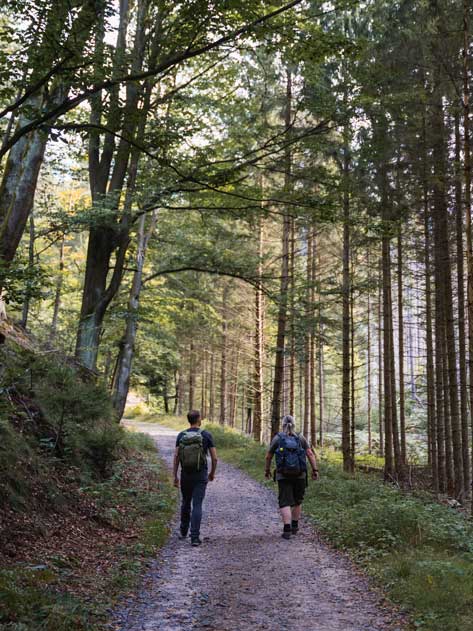 Wandern Sächsische Schweiz ab Schmilka