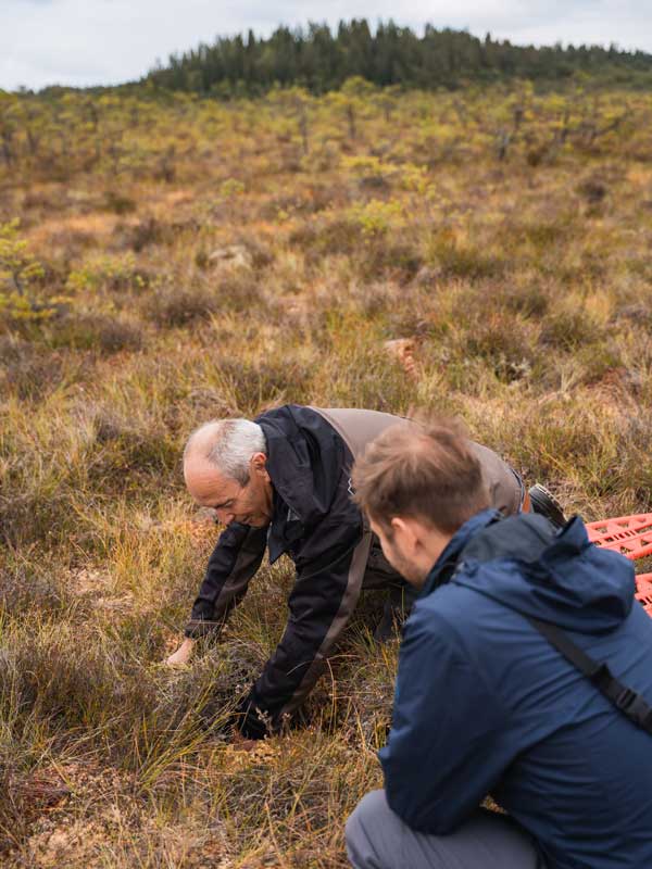 Geführte Tour mit André im Store Mosse Nationalpark